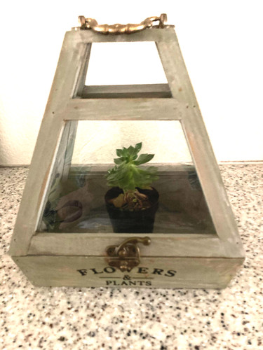 Greenhouse terrarium geometric - greenhouse,