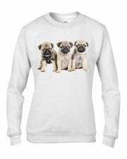 Pug Puppies Dog Women's