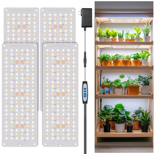 Grow lights for - for, starting