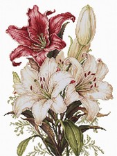 Cross stitch kit luca - cross,