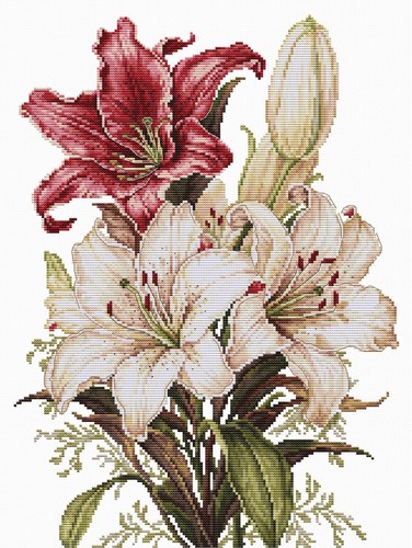 Cross stitch kit luca - cross,