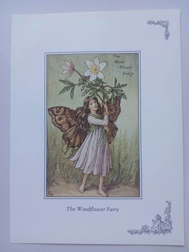 Cicely mary barker - barker,
