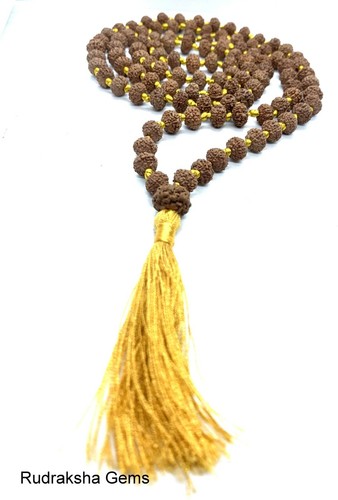 Mukhi seven facet - mukhi, rudraksha