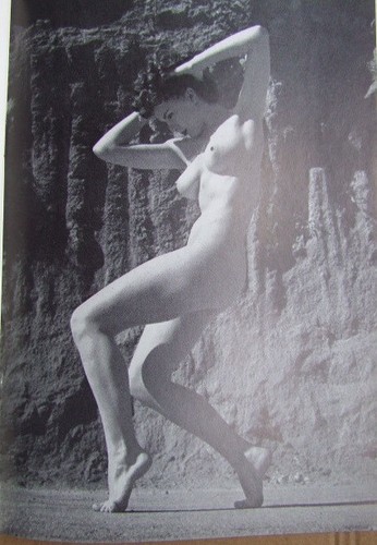 Stylish continental nude - 30,