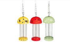 Bees Daisy Ladybird Garden