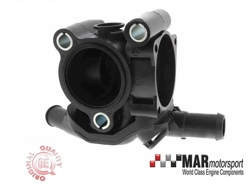 Zetec blacktop focus - zetec,