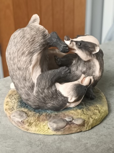 Badgers play border fine - at, by