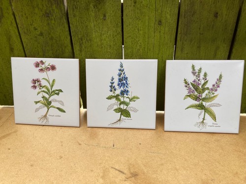 Vintage botanical - vintage, 6"x6"