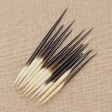 10Pcs Porcupine Quills DIY