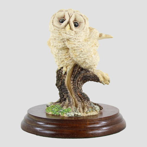 Owlet style two border fine - owlet,
