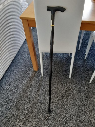 Walking stick black folds - stick., black: