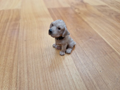 Sitting weimaraner puppy - 2",