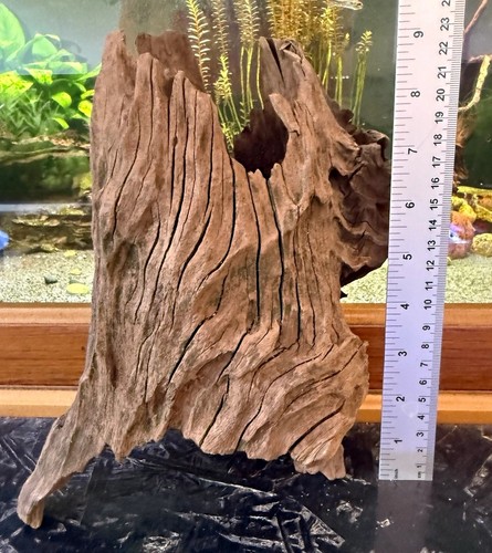 Natural aquarium driftwood - natural,