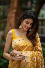 Pakistani Heavy Saree Designer