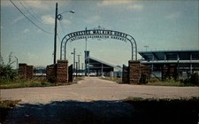 Tennessee Walking Horse