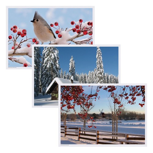 702079 placemat multipack 3 - placemat,