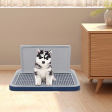 Pet Dog Toilet Mat Indoor