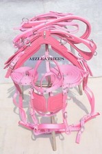 Pink Nylon Driving Harness For