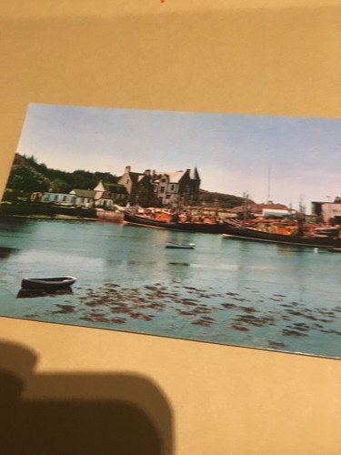 Lochinver fishing boats - ,