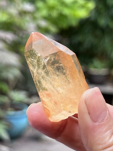 Tangerine lemurian seed - lemurian,