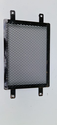Apache rlx450 radiator
