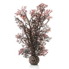BiOrb Crimson Sea Fan - Small