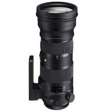 Sigma 150-600mm f/5-6.3 DG OS
