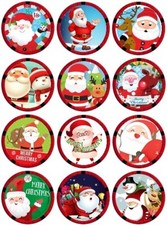 24 Christmas Santa Fairy Cup