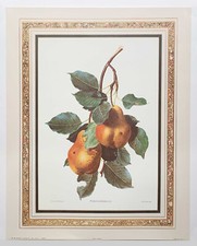 Arthur Kaplan Botanical Fruit