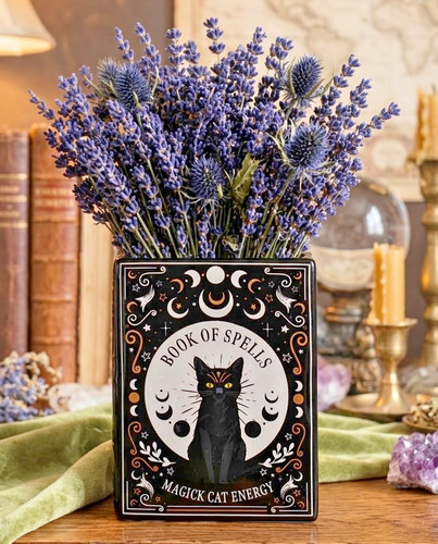 Book spells magic - magic, cat