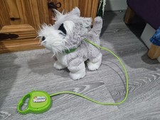 Fluffy Puppies Walking/Barking