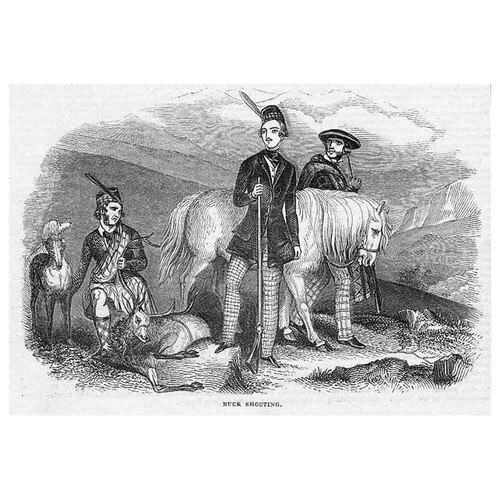 Deer hunting buck - buck, shooting