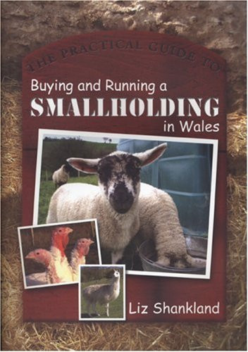 The practical guide buying - the,