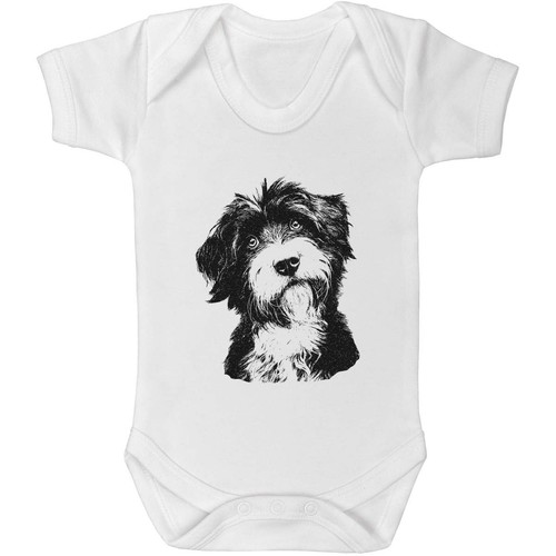 Tibetan terrier portrait - terrier, portrait'