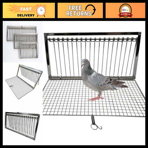 Stainless steel pigeon trap - steel,