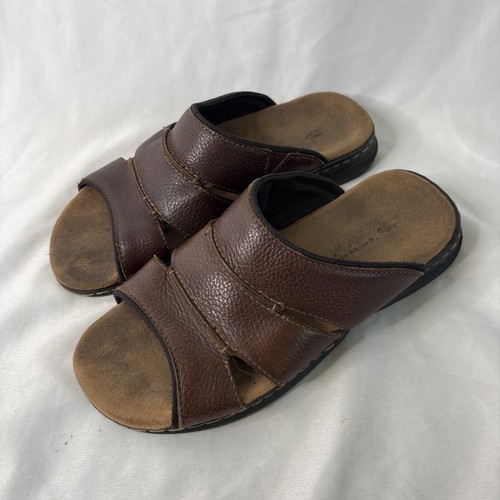 Scholl gordon slide - scholl’s,