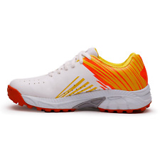 Sega CL 60 2024 Model Cricket