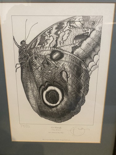 Gary hodges limited edition - hodges,