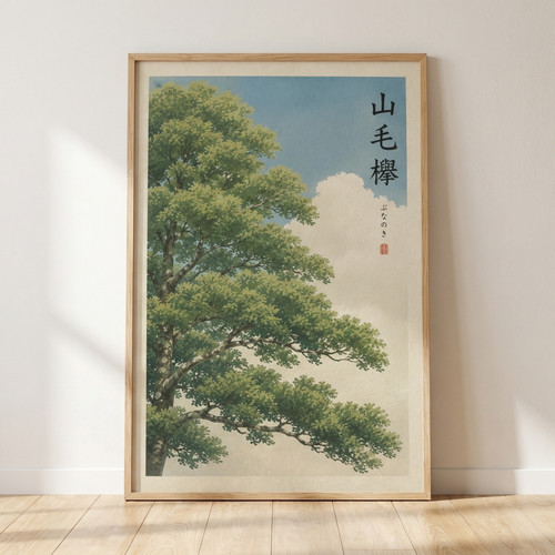 Vintage japanese beech tree - vintage,