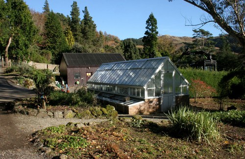 Photo 6x4 greenhouse - photo,