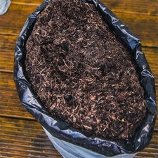 Garden Essentials: Compost &