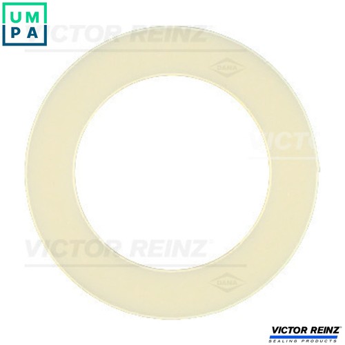 20x seal ring - ring, oil