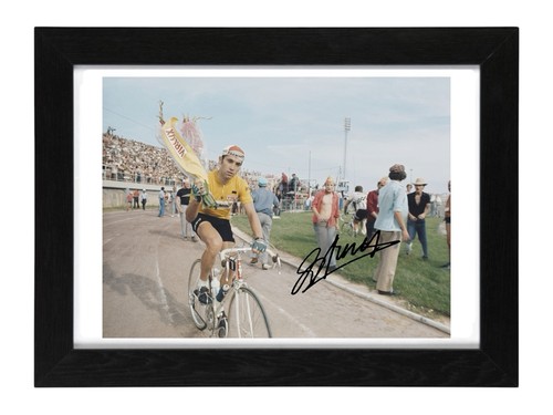 Eddy merckx signed autograph - merckx,