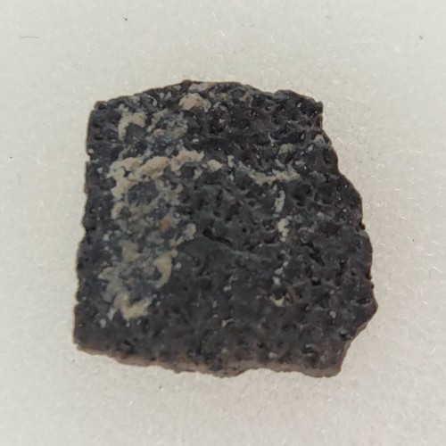 Hadrosaur egg shell fossil - shell,