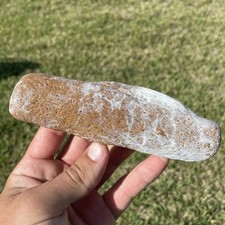 Fossilized Whale Rib Bone