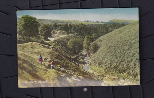 Printed postcard the - printed, goyt