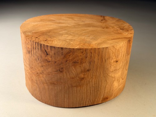Crotch figure burr elm - figure,