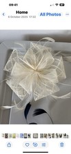 Fascinator Women's Clip On