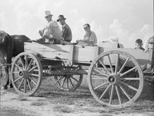 Horse wagon is still a common