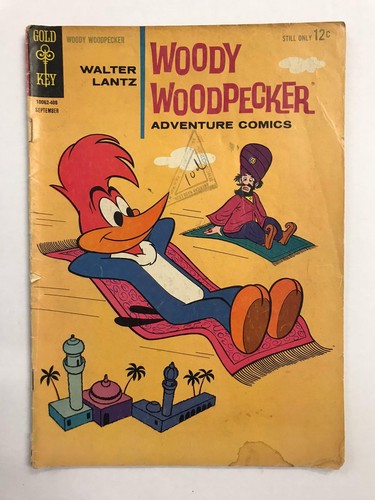 Woody woodpecker adventure - woodpecker,